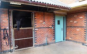 Sleep Next To A Horse In A Stable By The City !